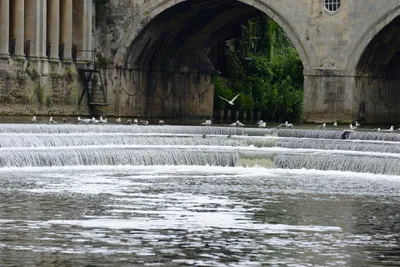 DSC_2579 (Large).JPG